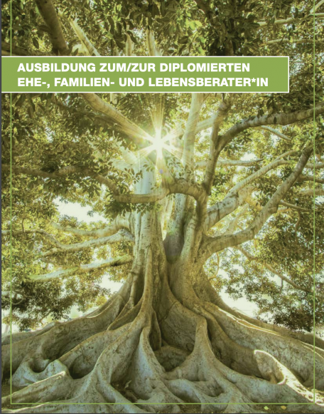 Bildschirmfoto-2024-11-06-um-15.00.53.png